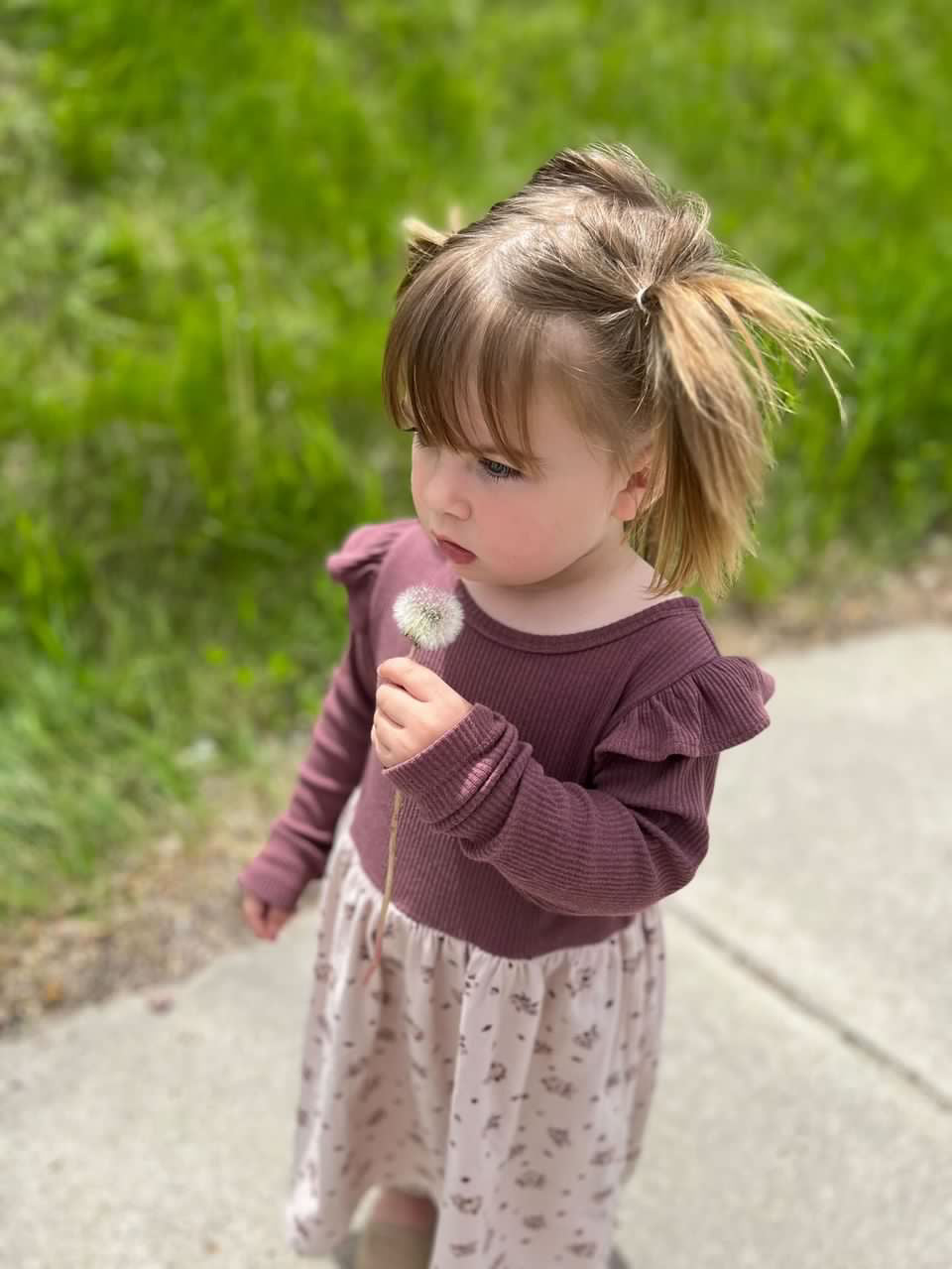 Sophia - Floral Dress